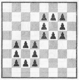 Шаховий кінь